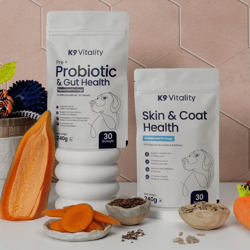 Probiotics + Skin & Coat Duo