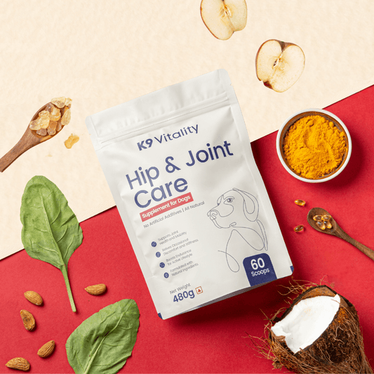 Hip & Joint Care Supplement For Dogs