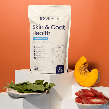 Skin & Coat Health Supplement for Dogs