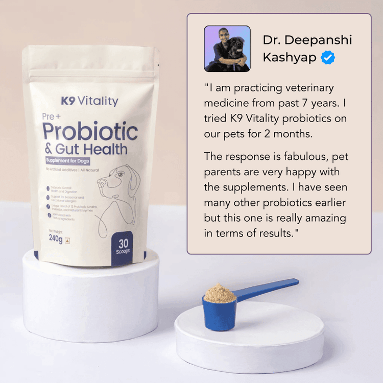 [Ultimate Saver Pack] Pre + Probiotics & Gut Health For Dogs - 480 grams