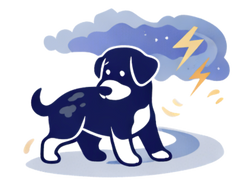 Fear during fireworks or storms