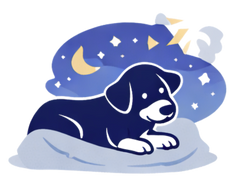 Trouble settling at night