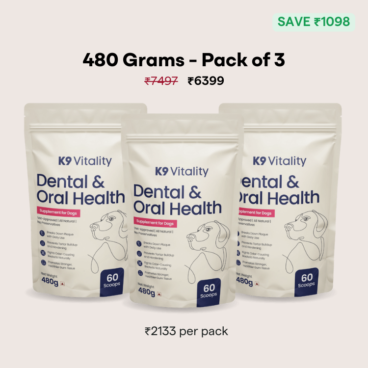 [Ultimate Saver Pack] Dental & Oral Health Supplement for Dogs - 480 grams