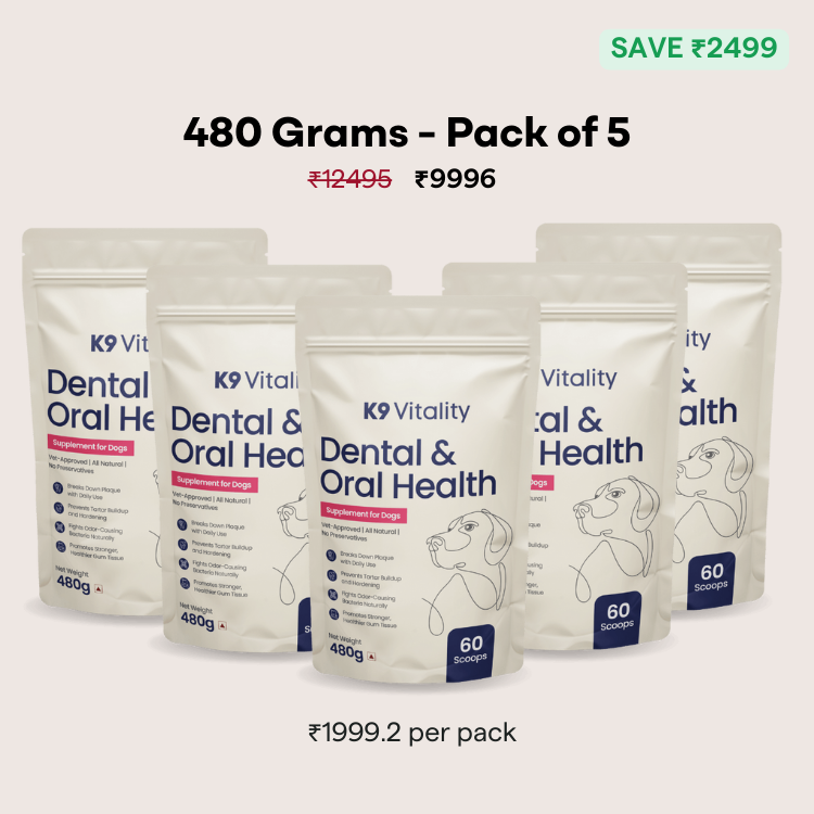 [Ultimate Saver Pack] Dental & Oral Health Supplement for Dogs - 480 grams