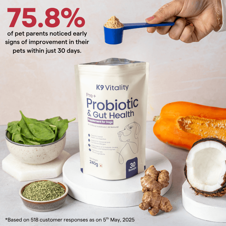 Pre + Probiotics & Gut Health For Dogs
