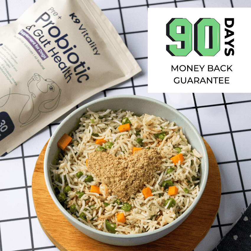 [Ultimate Saver Pack] Pre + Probiotics & Gut Health For Dogs - 480 grams