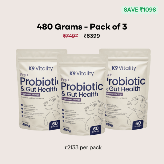 [Ultimate Saver Pack] Pre + Probiotics & Gut Health For Dogs - 480 grams