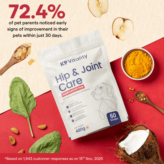 Hip & Joint Care Supplement For Dogs