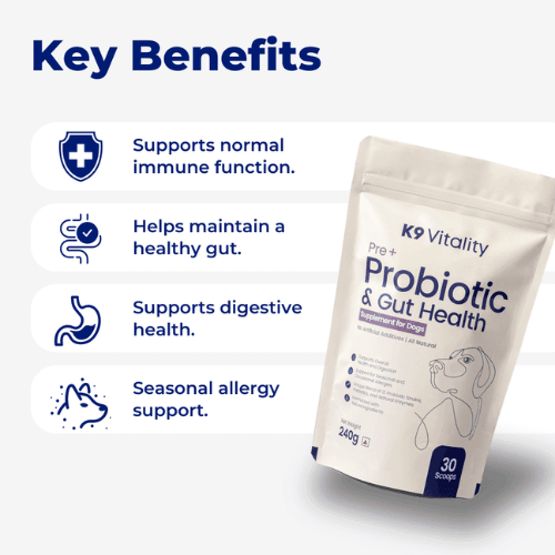 Pre + Probiotics & Gut Health For Dogs
