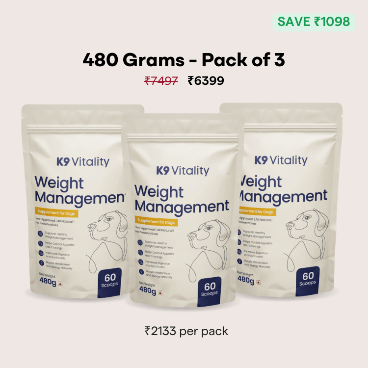 [Ultimate Saver Pack] Weight Management Supplement for Dogs - 480 grams