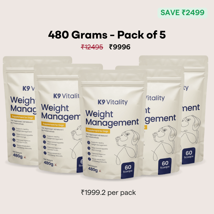 [Ultimate Saver Pack] Weight Management Supplement for Dogs - 480 grams