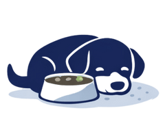 Poor nutrient absorption (low energy, dull coat)