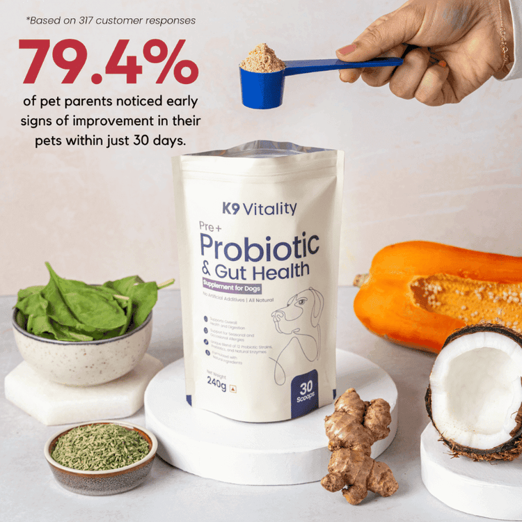 [Ultimate Saver Pack] Pre + Probiotics & Gut Health For Dogs - 480 grams