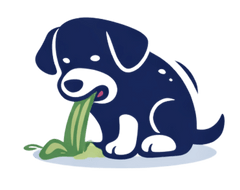 Vomiting occasionally