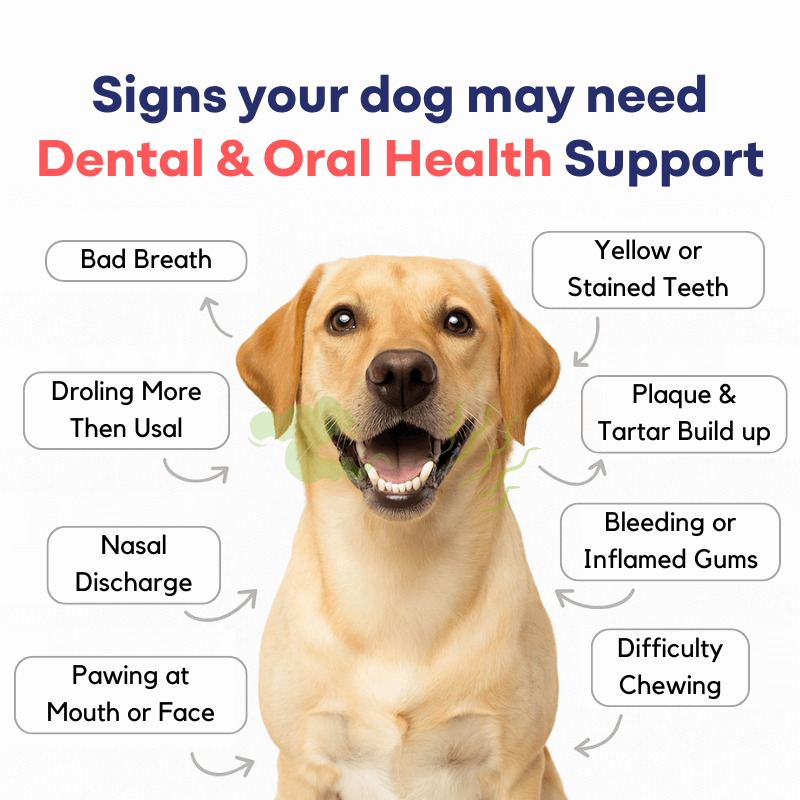 Dental & Oral Health Supplement for Dogs
