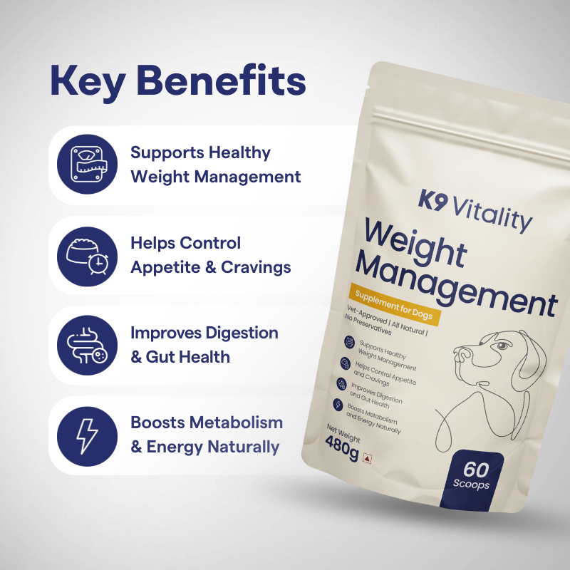 [Ultimate Saver Pack] Weight Management Supplement for Dogs - 480 grams