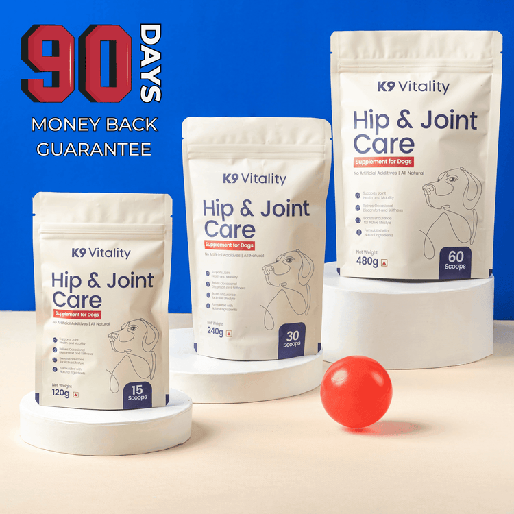 Hip & Joint Care Supplement For Dogs (2 x 240 Grams)