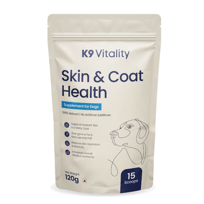 Skin & Coat Health Supplement for Dogs