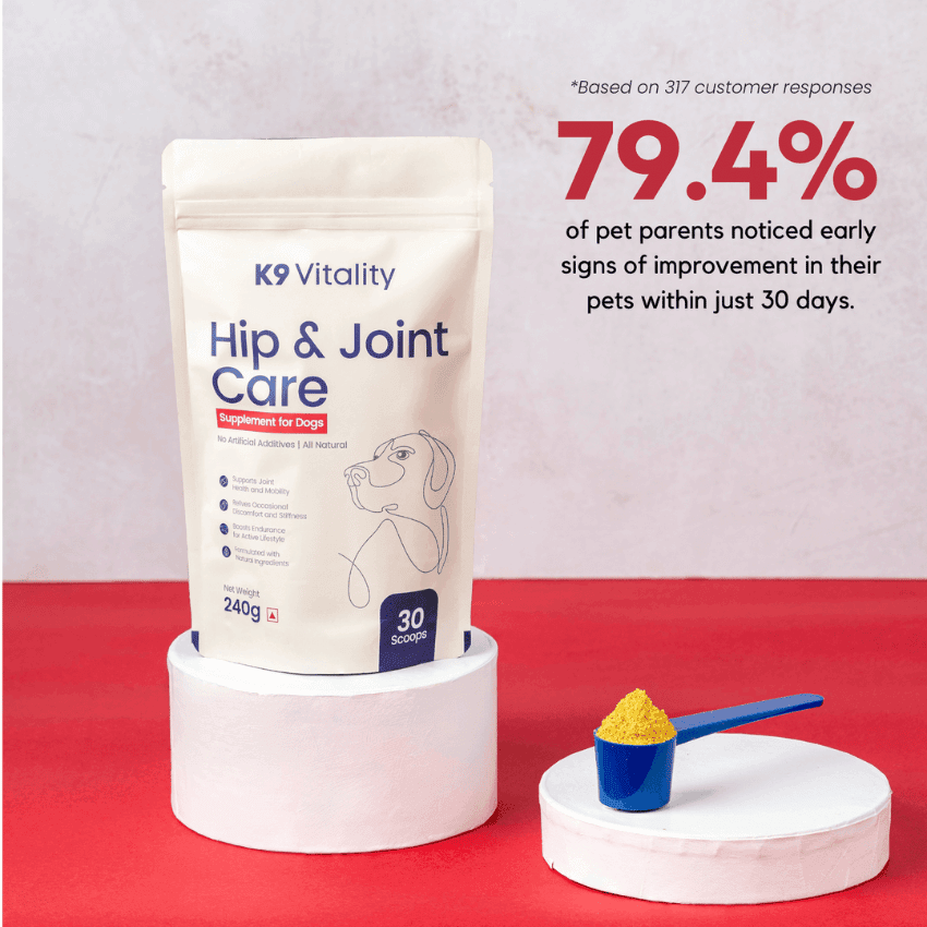 [Ultimate Saver Pack] Hip & Joint Care Supplement For Dogs - 480 grams