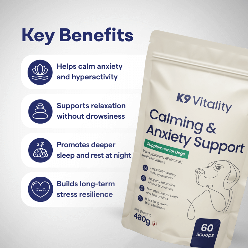Calming & Anxiety Support Supplement for Dogs