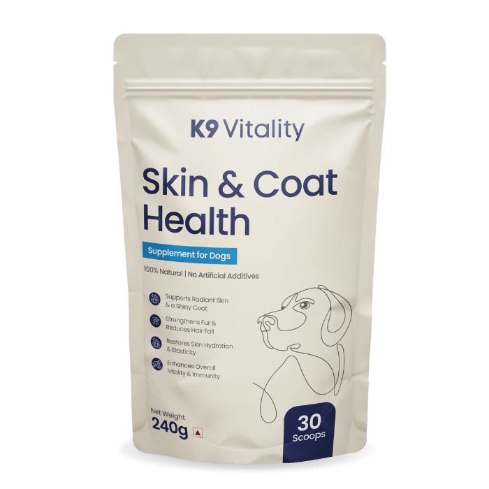 Skin & Coat Health Supplement for Dogs