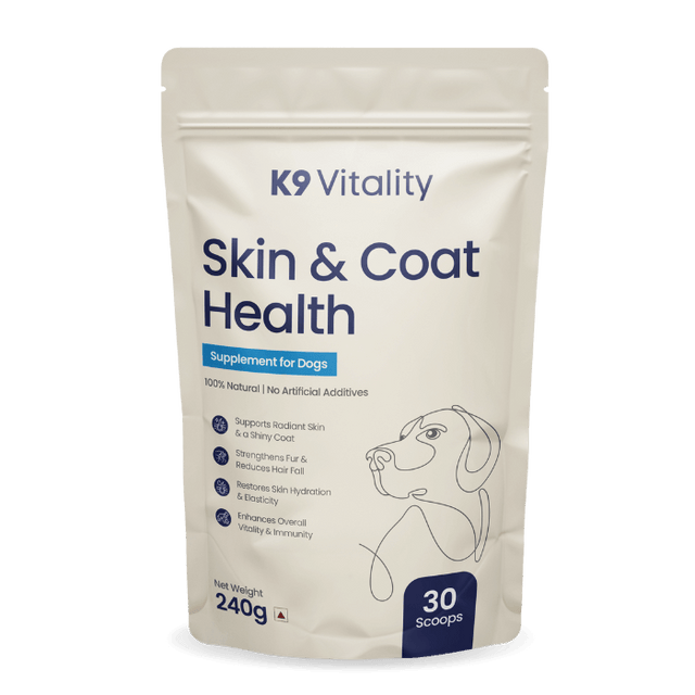 Skin & Coat Health Supplement for Dogs