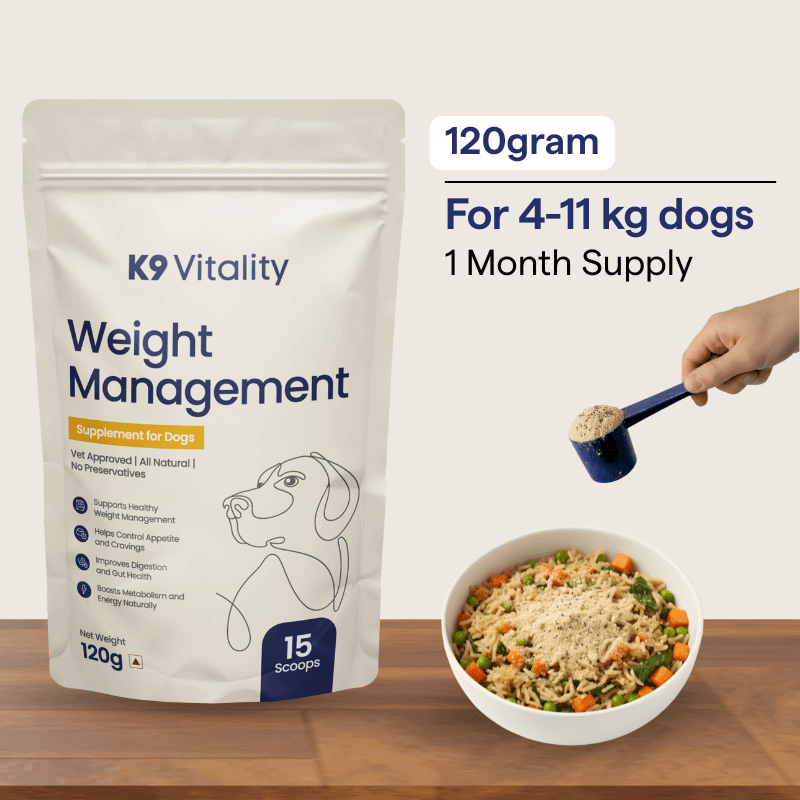 Weight Management Supplement for Dogs