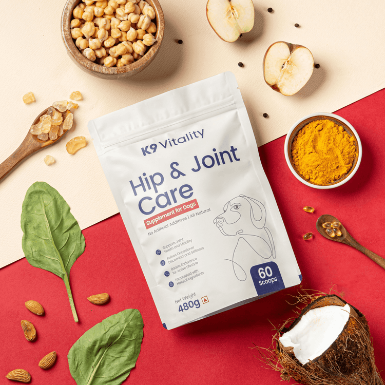 Hip & Joint Care Supplement For Dogs (2 x 240 Grams)