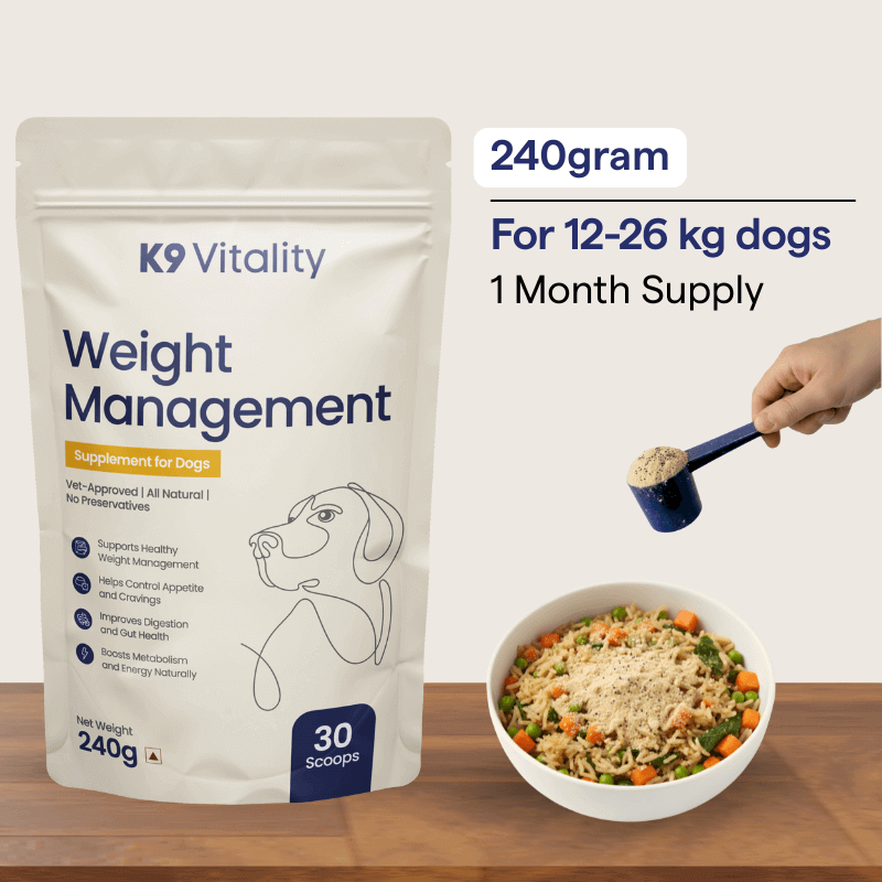 Weight Management Supplement for Dogs
