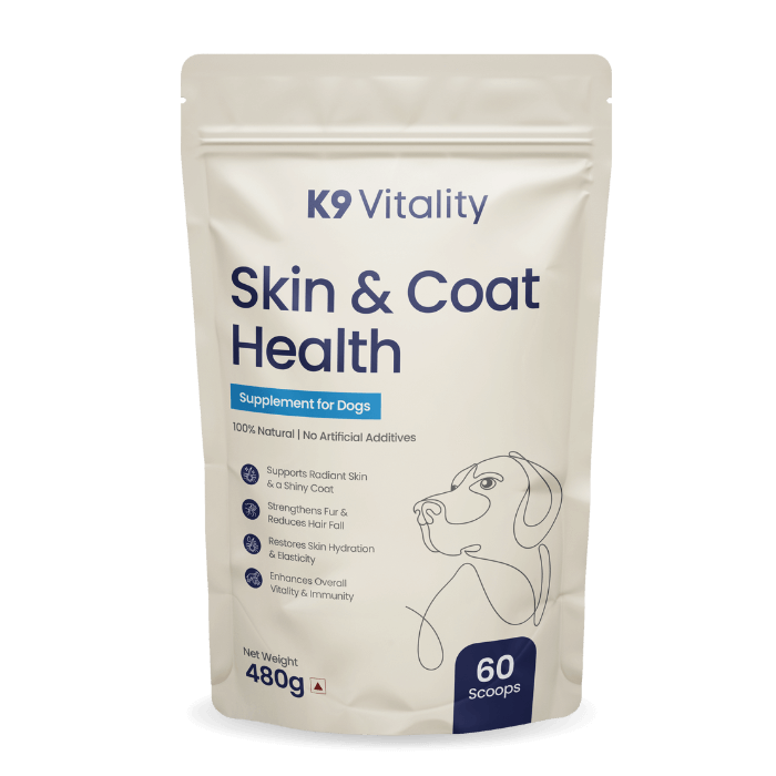 Skin & Coat Health Supplement for Dogs