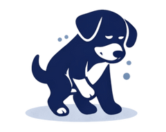 Limping or favoring a leg