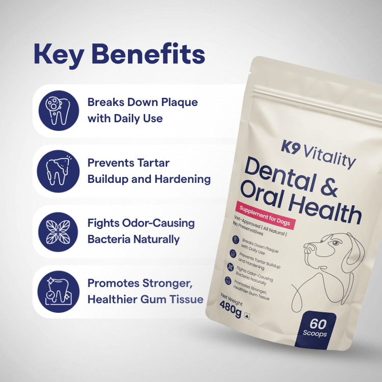 Benefits of K9 Vitality dental and oral health supplement