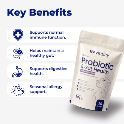Benefits of Probiotics Supplements