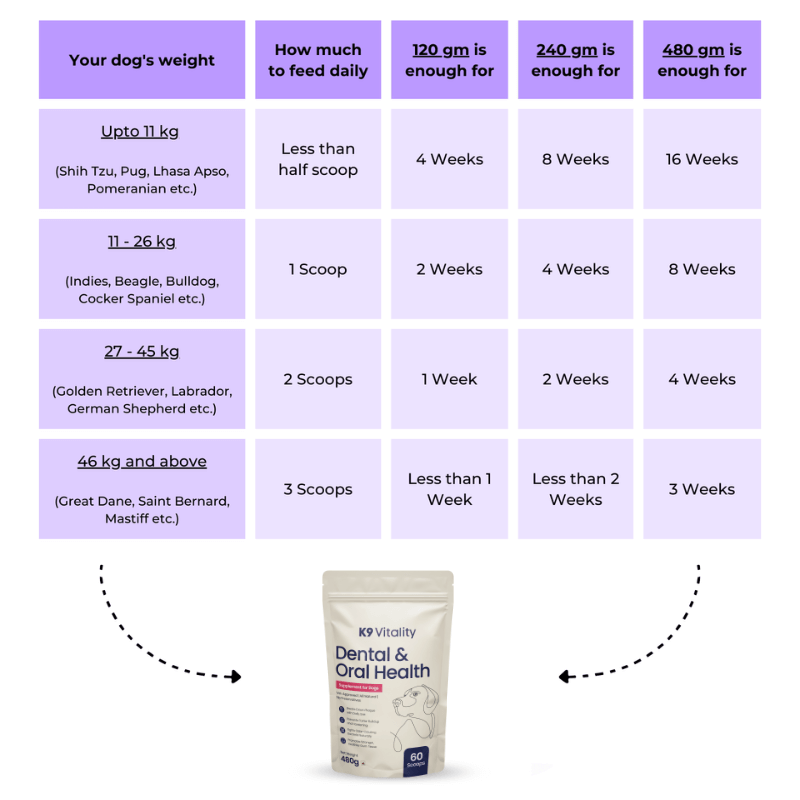 Chart of dog food portion sizes based on weight