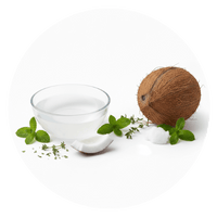 Coconut Oil + Spearmint + Thyme