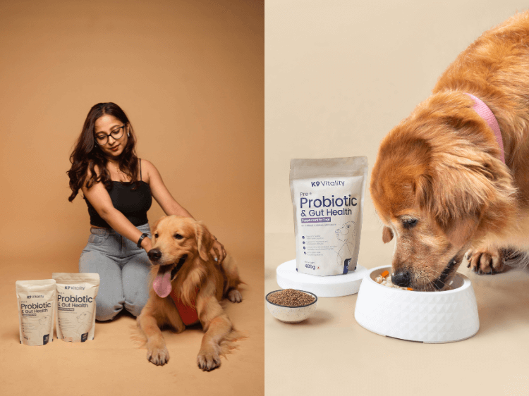 How Your Dog's Gut Affects More Than Digestion