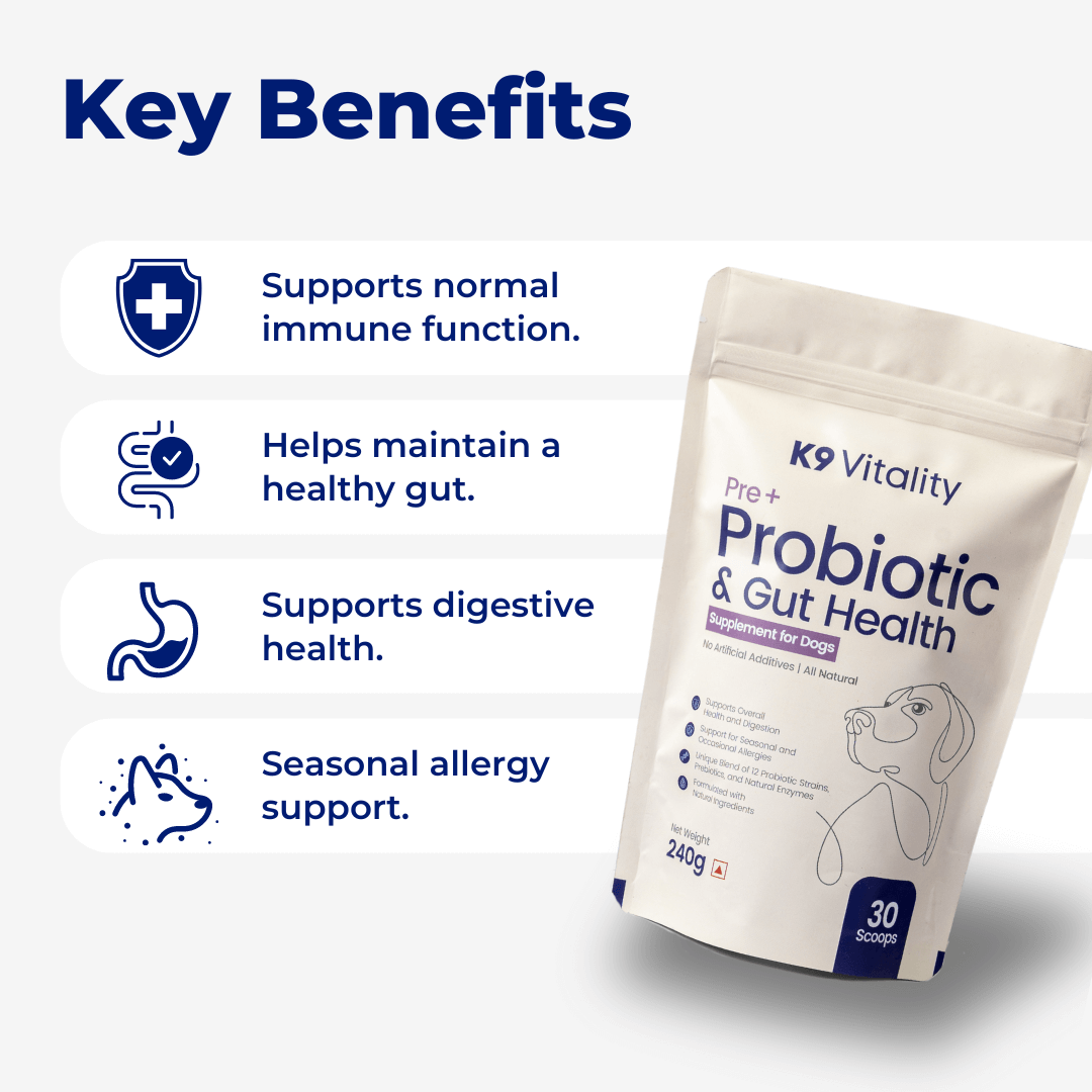 Pre + Probiotics & Gut Health For Dogs