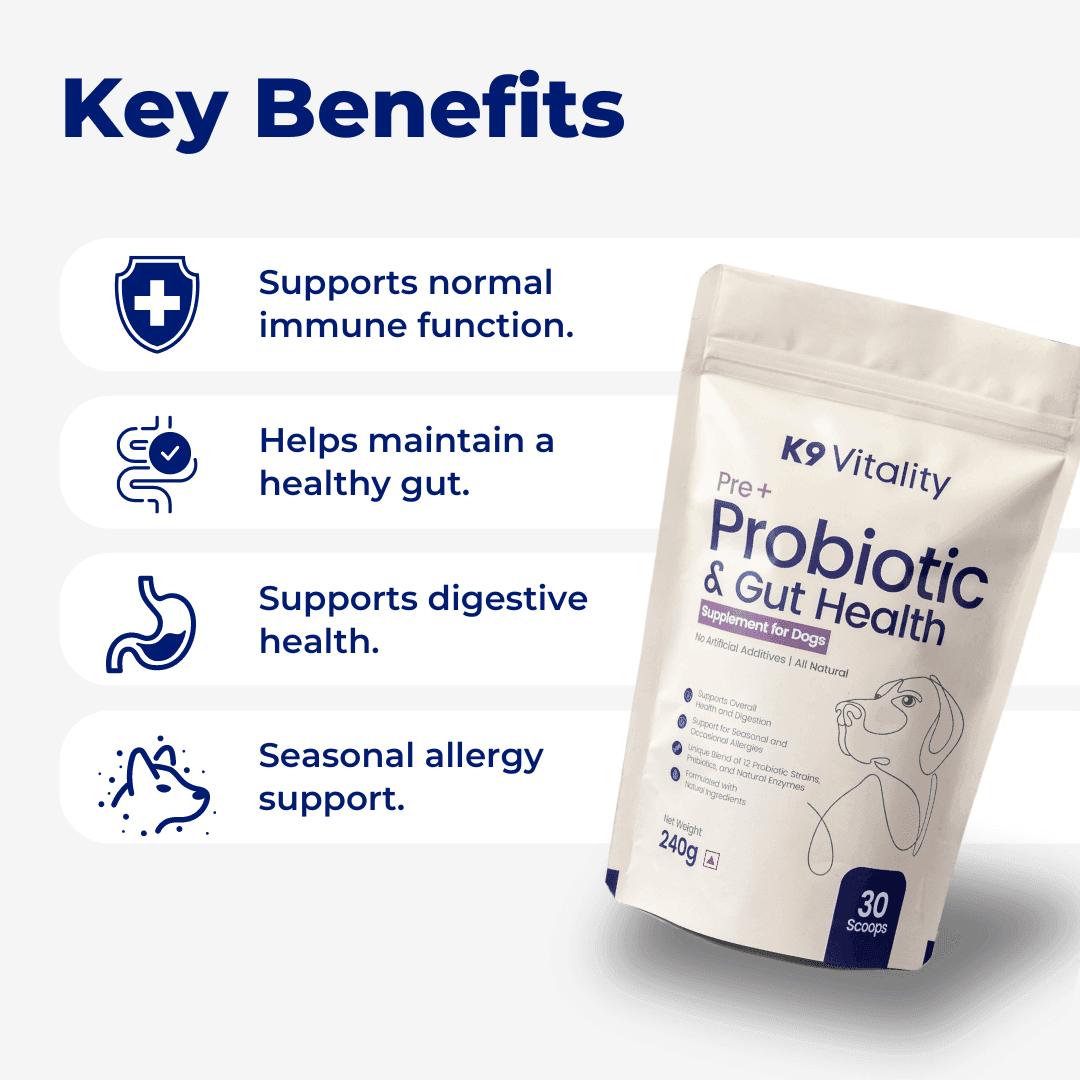 [Ultimate Saver Pack] Pre + Probiotics & Gut Health For Dogs - 480 grams
