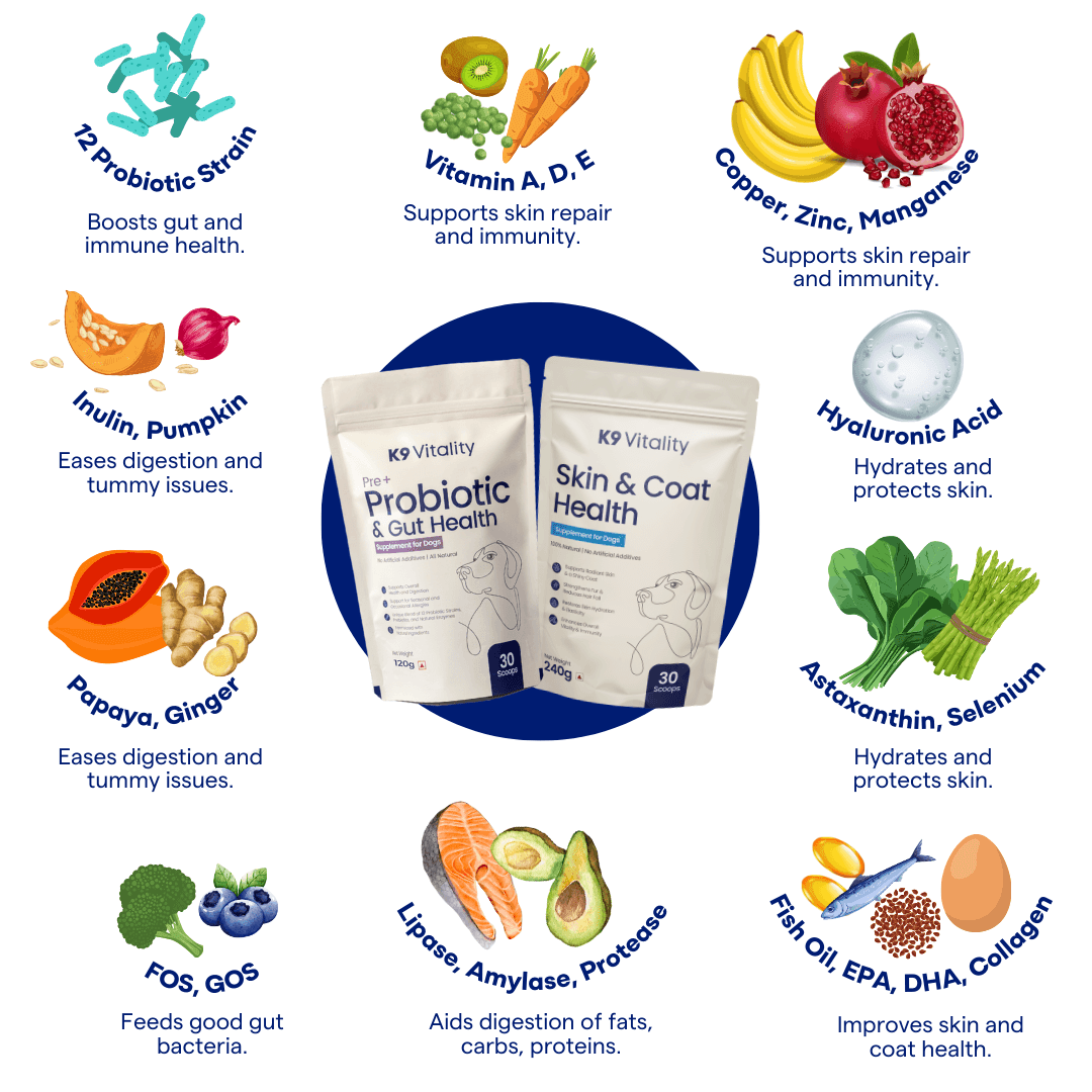 Probiotics + Skin & Coat Duo