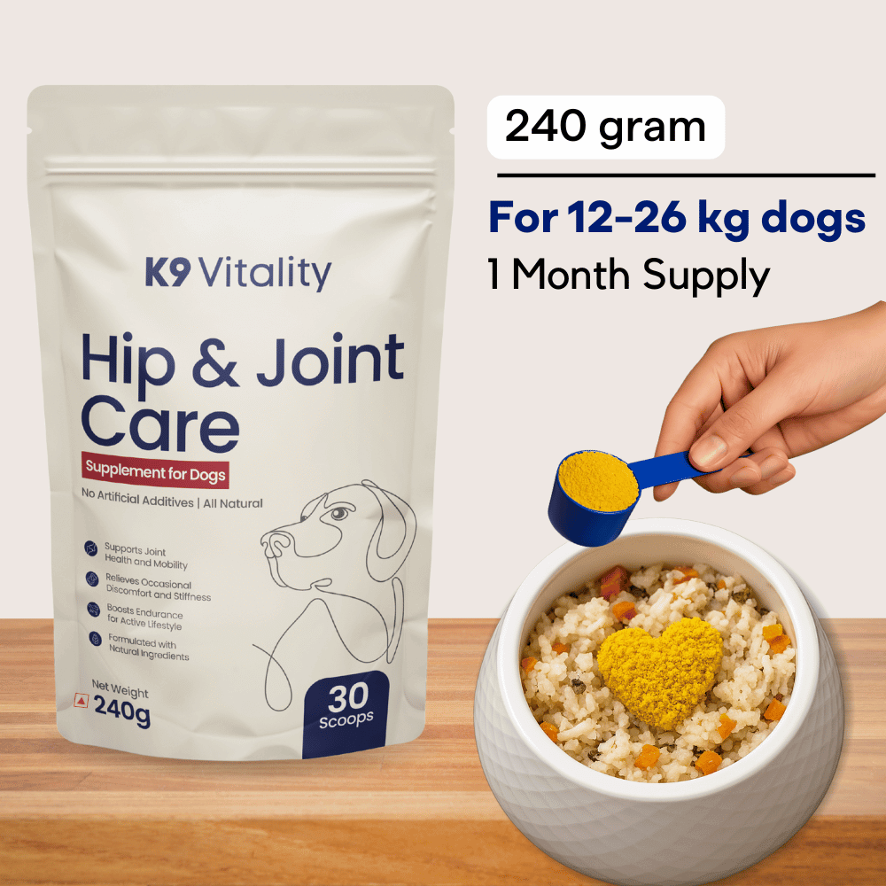 240 grams (Most Popular) Hip Joint Care Supplement For Dogs
