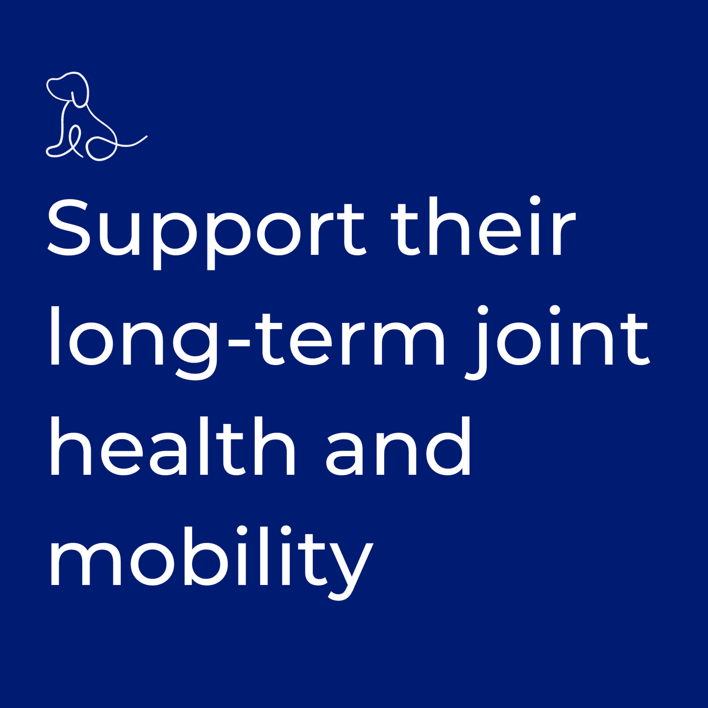 Hip & Joint Care Supplement For Dogs - K9 Vitality