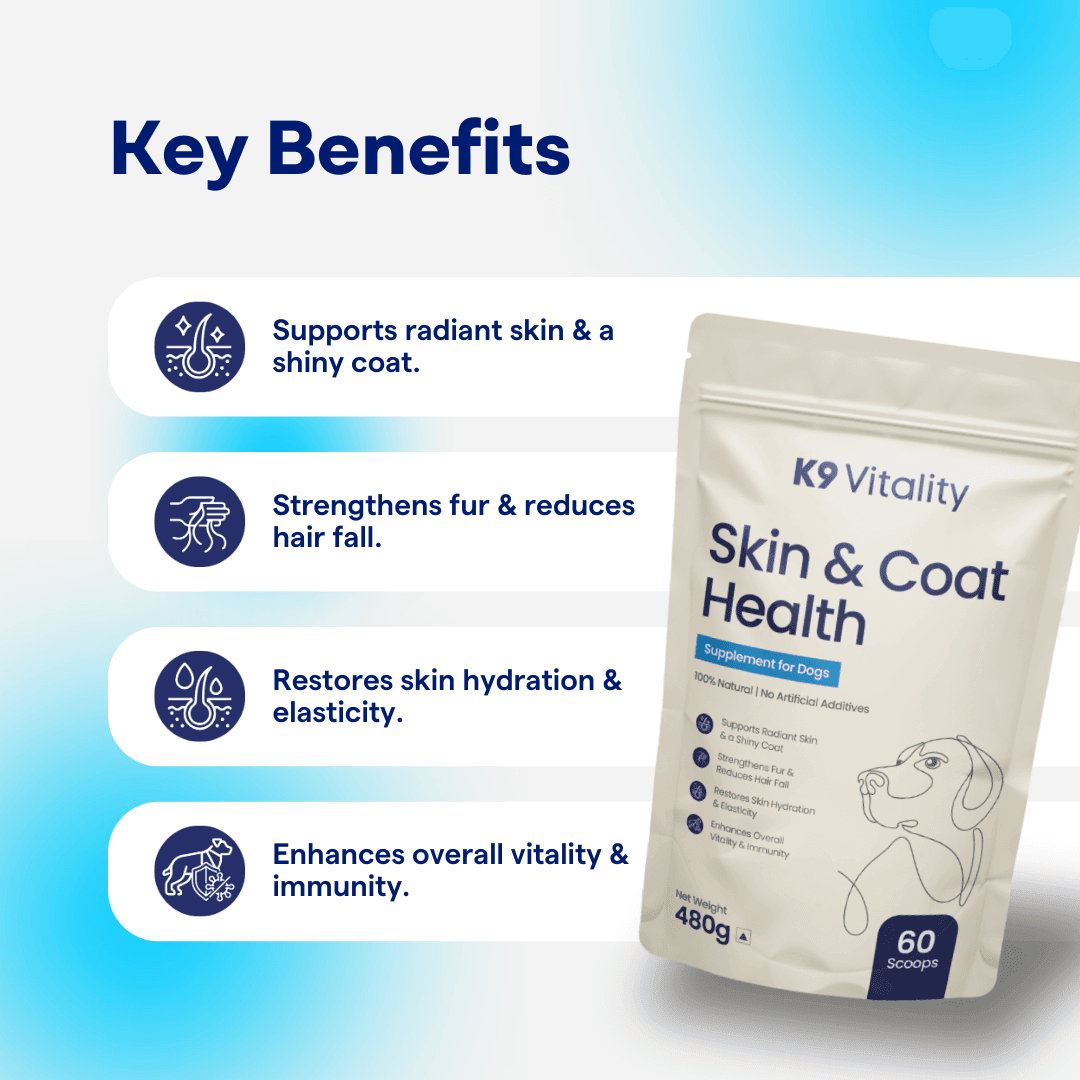 Skin & Coat Health Supplement for Dogs