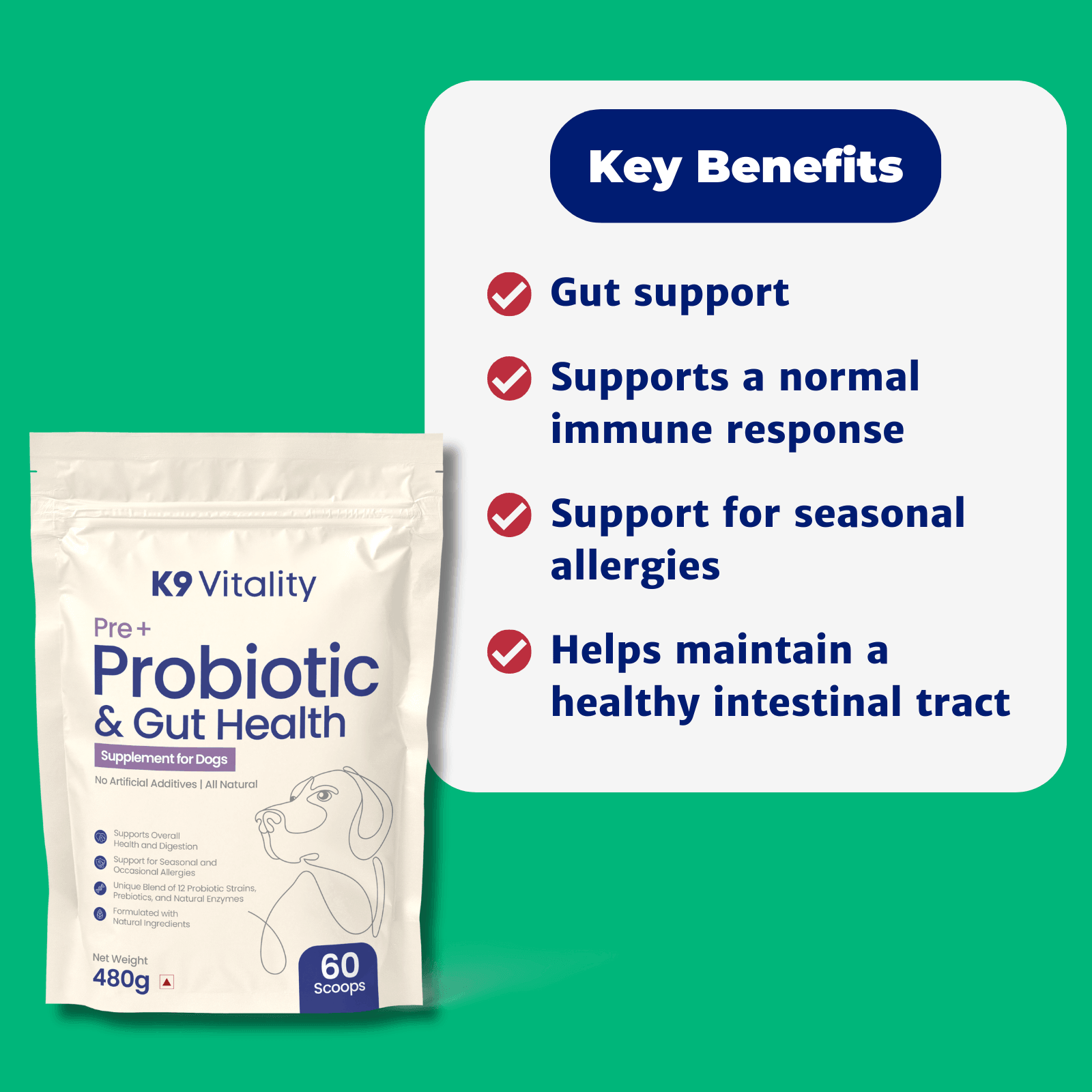 Pre + Probiotics & Gut Health For Dogs - K9 Vitality