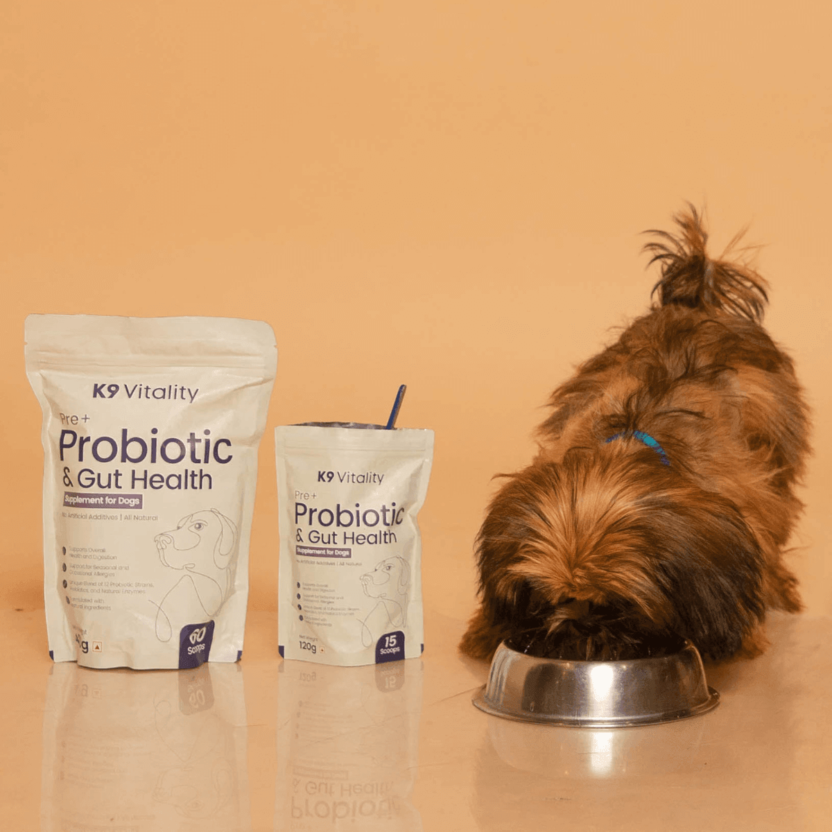 Pre + Probiotics & Gut Health For Dogs - K9 Vitality