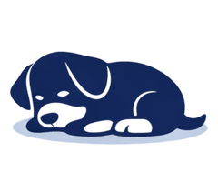 Low immunity / getting sick often