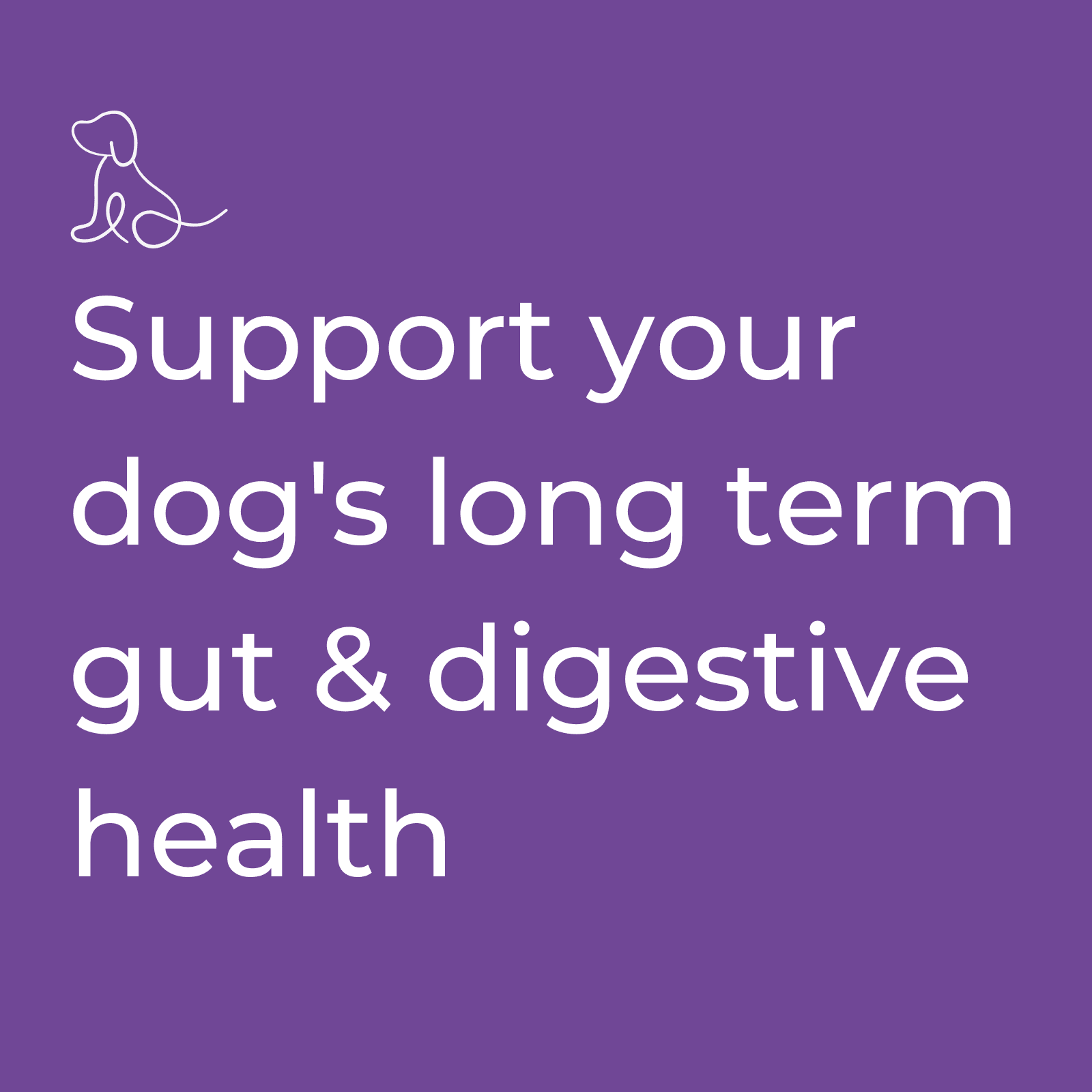 Pre + Probiotics & Gut Health For Dogs - K9 Vitality