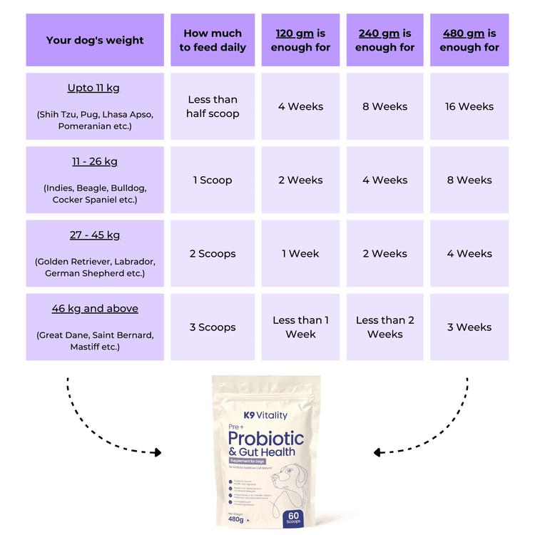 Pre + Probiotics & Gut Health For Dogs - K9 Vitality