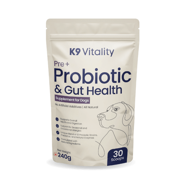 Pre + Probiotics & Gut Health For Dogs