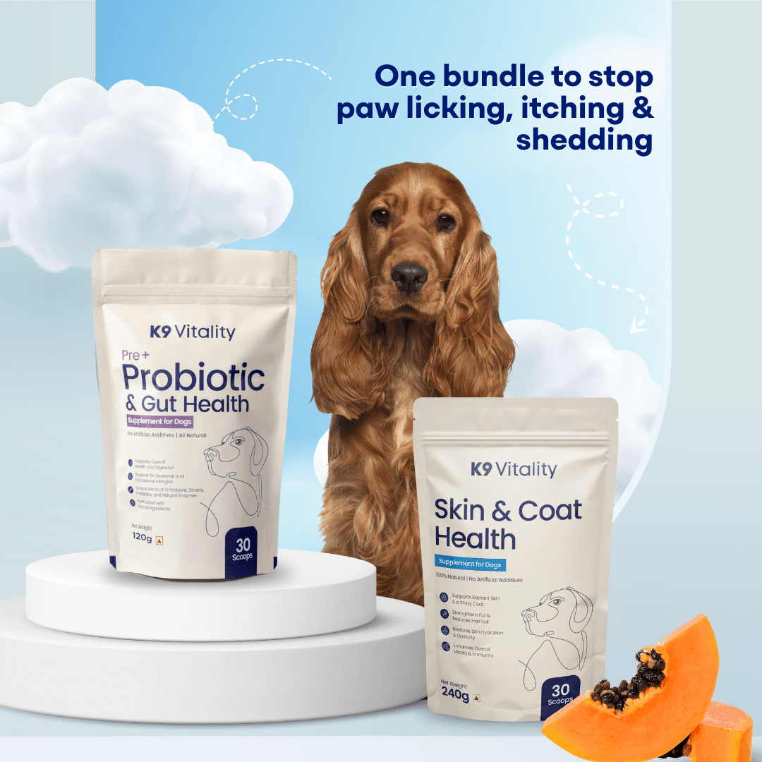 Probiotics + Skin & Coat Duo