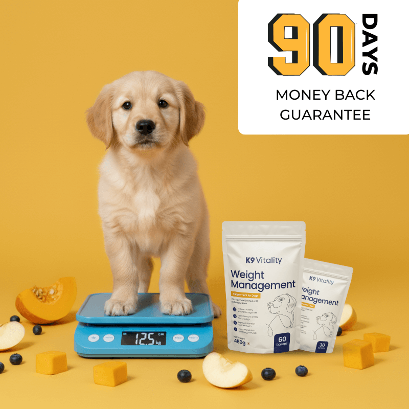 [Ultimate Saver Pack] Weight Management Supplement for Dogs - 480 grams